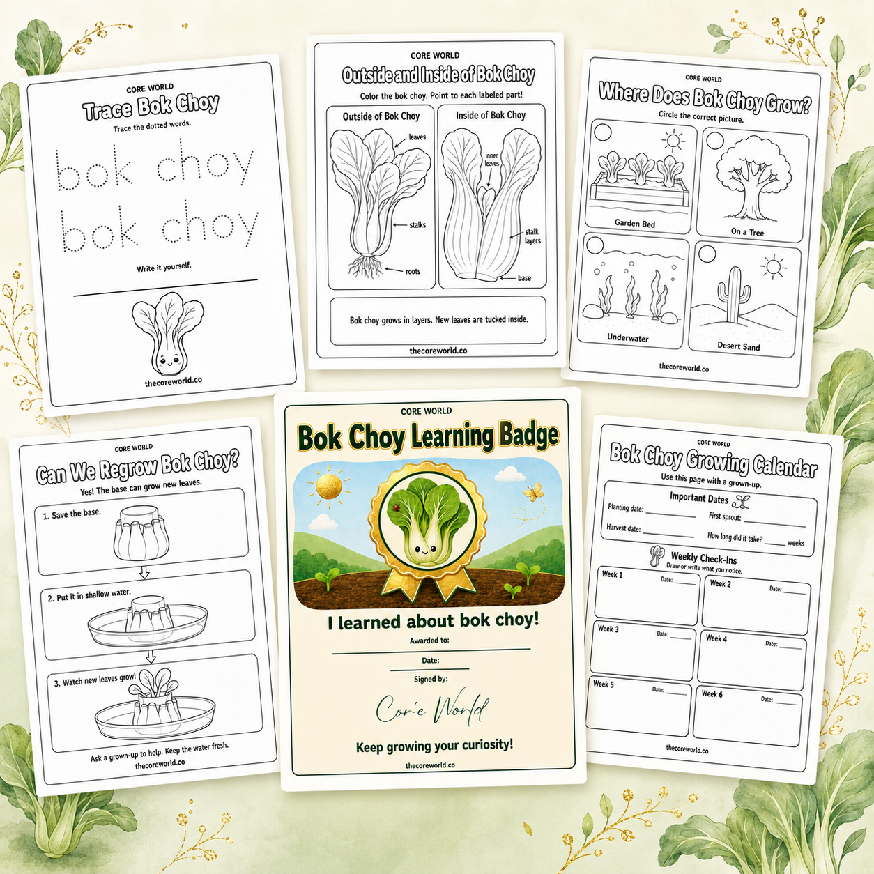 All About Bok Choy | Vegetable Learning Pack for Ages 4–7